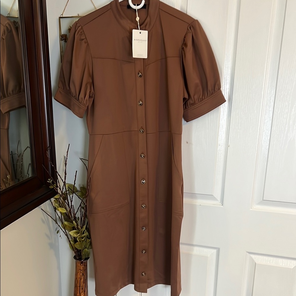 Elegant Brown Button-Down Dress